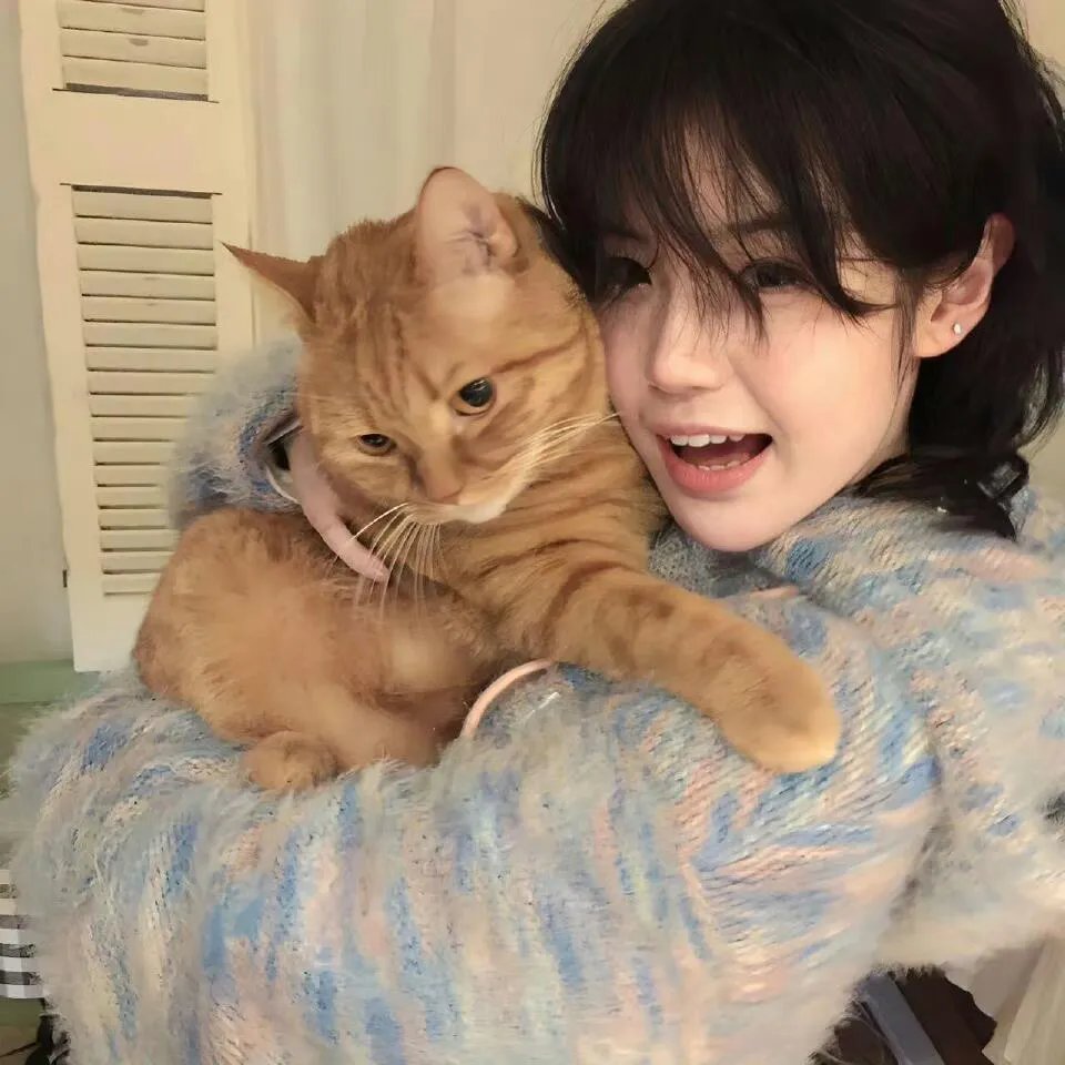 莫顿船长与蜘蛛女王